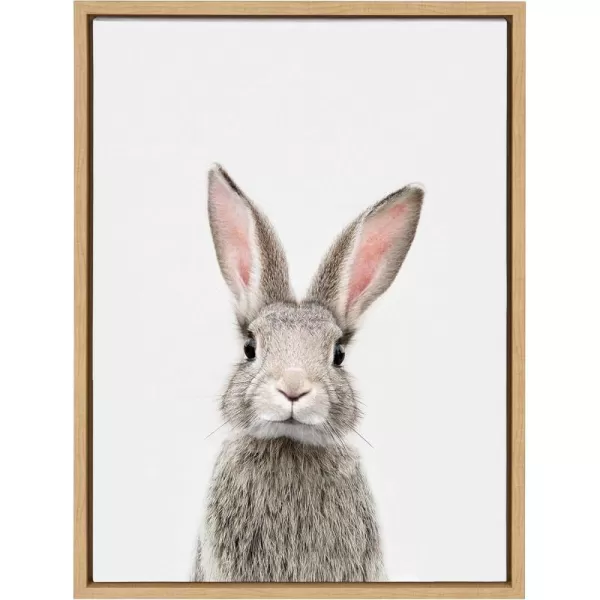 Kate and Laurel Sylvie Female Rabbit Framed Canvas Wall Art by Amy Peterson 18x24 Gold Baby Animal Home DecorNatural