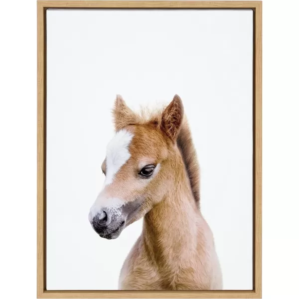 Kate and Laurel Sylvie Animal Studio Baby Horse Framed Canvas Wall Art by Amy Peterson Art Studio 18x24 Natural Modern Pony Portrait Art for WallNatural