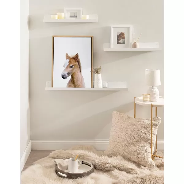 Kate and Laurel Sylvie Animal Studio Baby Horse Framed Canvas Wall Art by Amy Peterson Art Studio 18x24 Natural Modern Pony Portrait Art for WallNatural