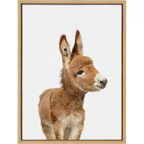 Kate and Laurel Sylvie Animal Studio Burro Framed Canvas Wall Art by Amy Peterson Art Studio 18x24 Natural Whimsical Fun Animal Nursery Art for WallNatural