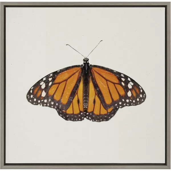 Kate and Laurel Sylvie Monarch Butterfly Framed Linen Textured Canvas Wall Art by Robert Cadloff of Bomobob 22x22 Gray Decorative Nature Art for Wall