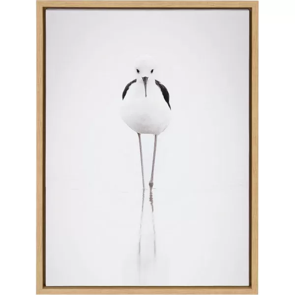 Kate and Laurel Sylvie Seagull Framed Canvas Wall Art by Simon Te of Tai Prints 18x24 Natural