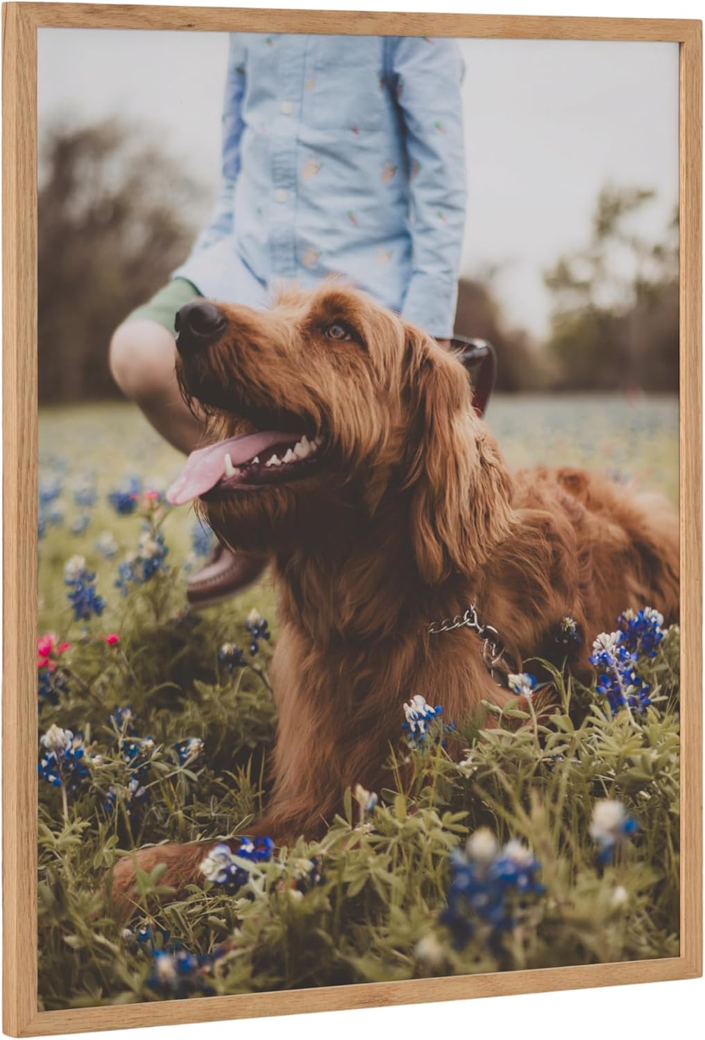 Kate and Laurel Custom Printed Framed Wall Art 20x16 Gold Personalized Wall Print with Your Photos for Bedroom or Living Room Gallery Wall Decor  Customizable Photo PrintsNatural