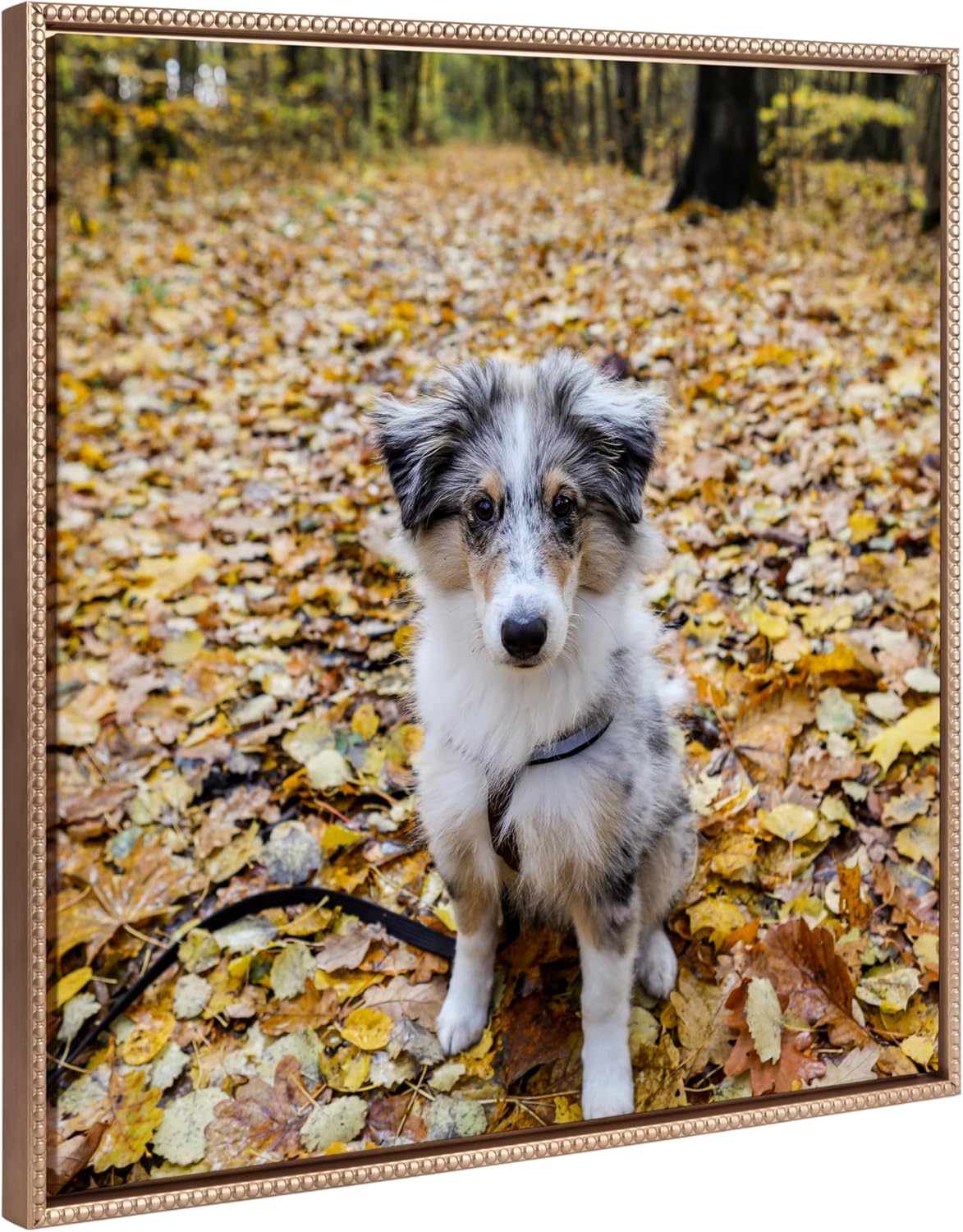 Kate and Laurel Sylvie Custom Printed Framed Canvas Wall Art 33x23 Dark Gray Personal Canvas Print with Your Photos for Bedroom or Living Room Gallery Wall Decor  Printed and Hand Framed in the USABeaded Gold
