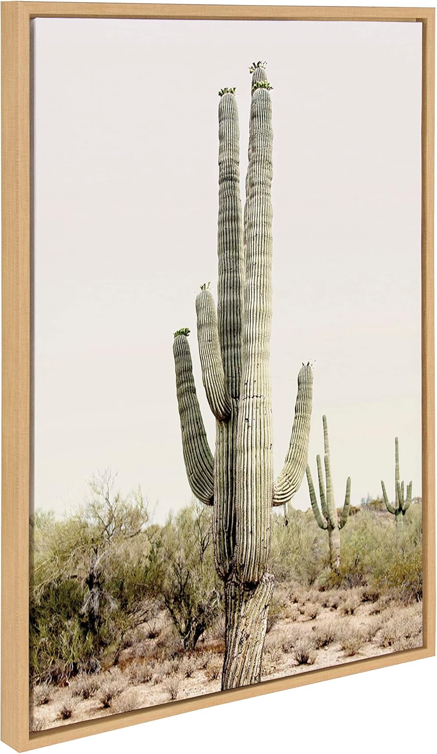 Kate and Laurel Sylvie Sunrise Cactus Pink Cactus Flower and Cactus 25 Framed Canvas Wall Art Set by Amy Peterson Art Studio 3 Piece Set 16x20 and 23x33 Natural Southwest Desert Wall Dcor