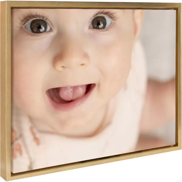 Kate and Laurel Sylvie Custom Printed Framed Canvas Wall Art 33x23 Dark Gray Personal Canvas Print with Your Photos for Bedroom or Living Room Gallery Wall Decor  Printed and Hand Framed in the USABright Gold