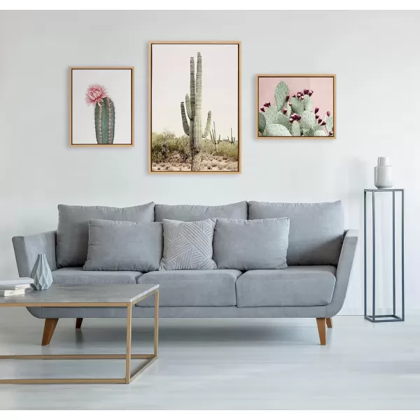 Kate and Laurel Sylvie Sunrise Cactus Pink Cactus Flower and Cactus 25 Framed Canvas Wall Art Set by Amy Peterson Art Studio 3 Piece Set 16x20 and 23x33 Natural Southwest Desert Wall Dcor