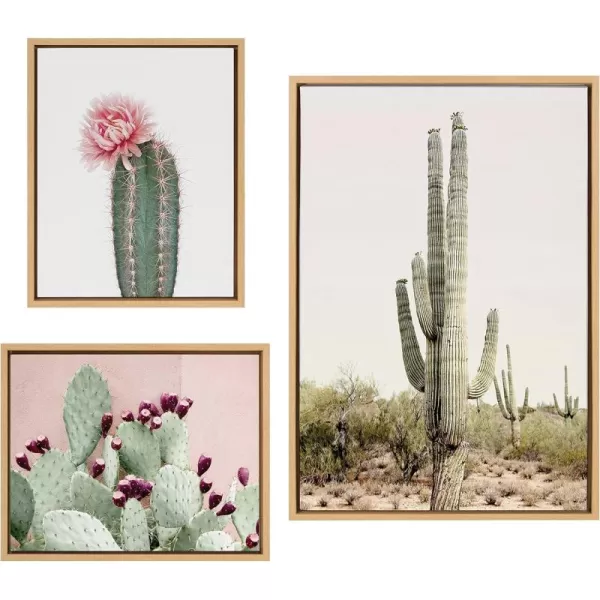 Kate and Laurel Sylvie Sunrise Cactus Pink Cactus Flower and Cactus 25 Framed Canvas Wall Art Set by Amy Peterson Art Studio 3 Piece Set 16x20 and 23x33 Natural Southwest Desert Wall Dcor