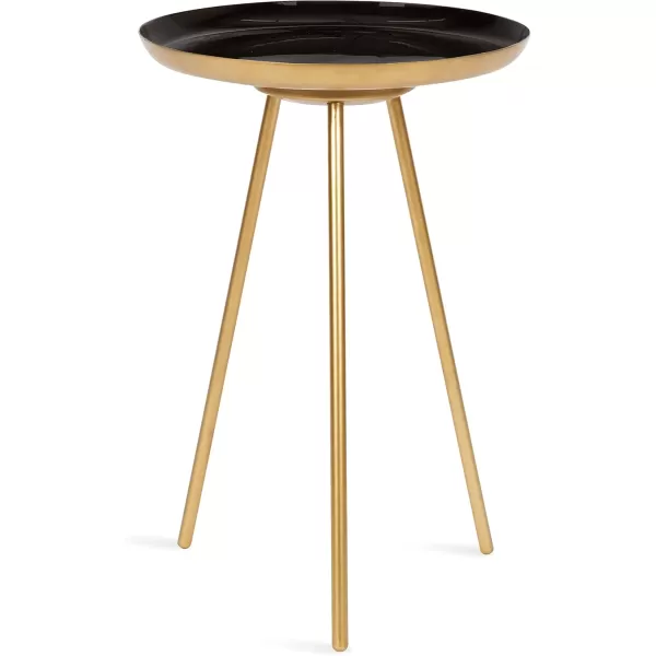 imageKate and Laurel Laranya Modern Side Table 15quot x 15quot x 225quot Teal and Black Chic Minimalist End TableBlackGold