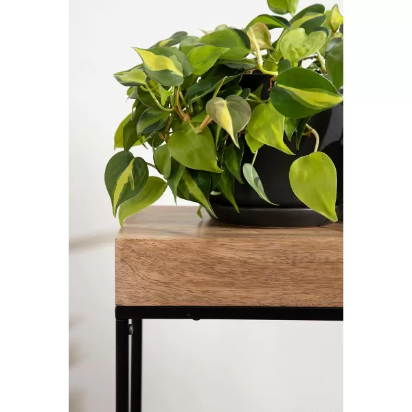 imageKate and Laurel Karlsen Wood and Metal Narrow Side Table 16 x 24 x 8 Natural Brown and Black Modern Transitional Slim Nightstand with Mixed Materials DesignNaturalBlack