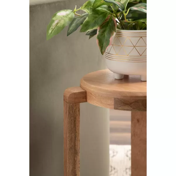 imageKate and Laurel Stuart Transitional Circle Nightstand Use as Indoor Plant Stand or Living Room Accent Table 14x14x20 Natural
