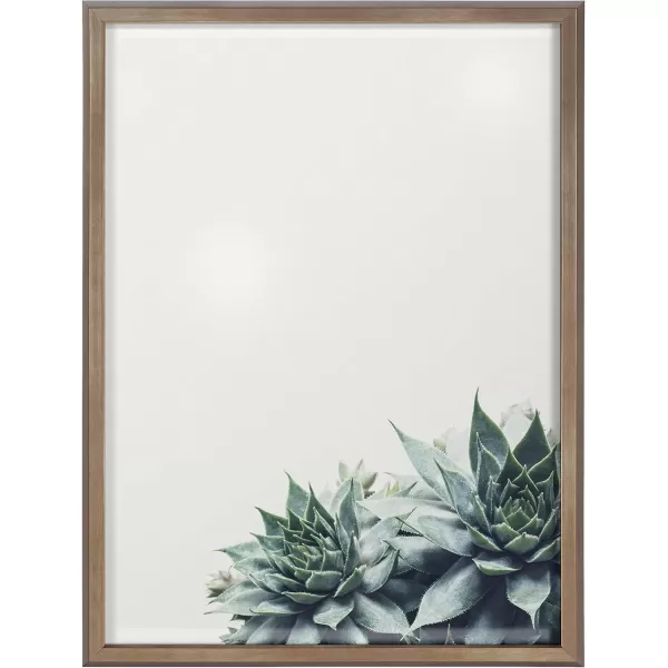 imageKate and Laurel Blake Ever Green Succulent Framed Printed Glass Wall Art ampamp Dry Erase by F2Images 18x24 Gold Chic Botanical Glass Art And Dry Erase Surface