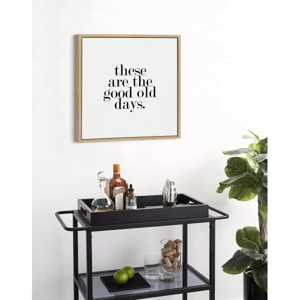 imageKate and Laurel Sylvie Good Old Days Framed Canvas Wall Art by Maggie Price of Hunt and Gather Goods 24x24 Walnut Brown Motivational Art for WallNatural