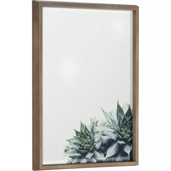 imageKate and Laurel Blake Ever Green Succulent Framed Printed Glass Wall Art ampamp Dry Erase by F2Images 18x24 Gold Chic Botanical Glass Art And Dry Erase Surface