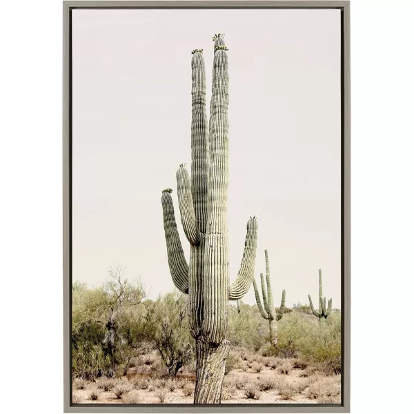 imageKate and Laurel Sylvie Sunrise Cactus Framed Canvas Wall Art by Amy Peterson Art Studio 23x33 Gray Modern Botanical Cactus Plant Art for WallGray