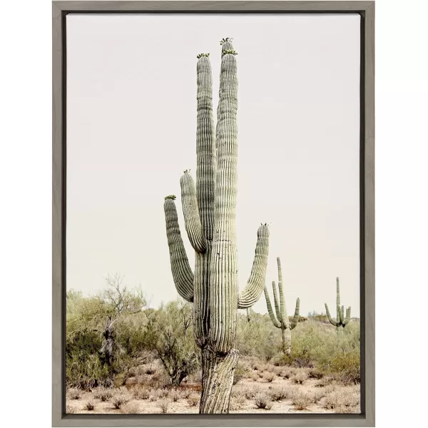 imageKate and Laurel Sylvie Sunrise Cactus Framed Canvas Wall Art by Amy Peterson Art Studio 23x33 Gray Modern Botanical Cactus Plant Art for WallGray