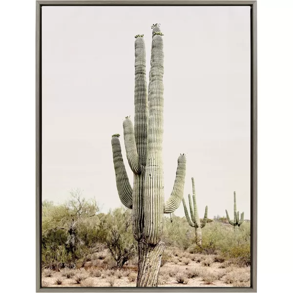 imageKate and Laurel Sylvie Sunrise Cactus Framed Canvas Wall Art by Amy Peterson Art Studio 23x33 Gray Modern Botanical Cactus Plant Art for WallGray