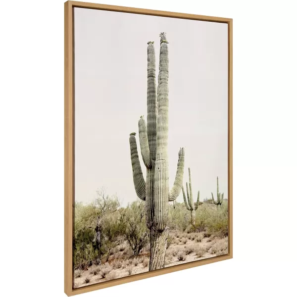 imageKate and Laurel Sylvie Sunrise Cactus Framed Canvas Wall Art by Amy Peterson Art Studio 23x33 Gray Modern Botanical Cactus Plant Art for WallNatural