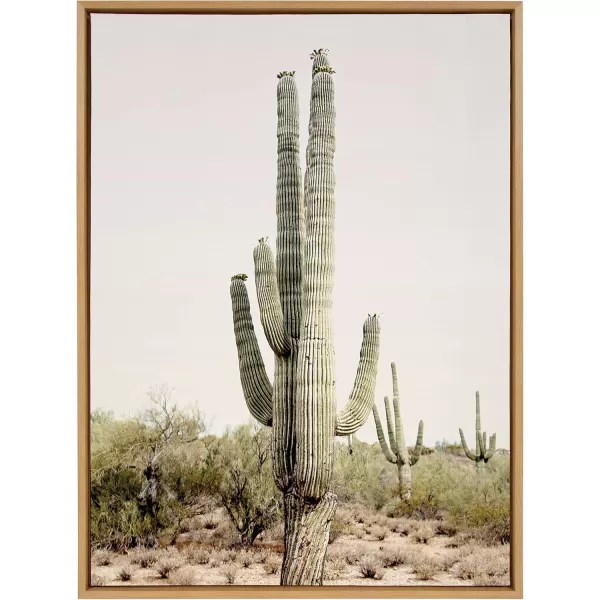 imageKate and Laurel Sylvie Sunrise Cactus Framed Canvas Wall Art by Amy Peterson Art Studio 23x33 Gray Modern Botanical Cactus Plant Art for WallNatural