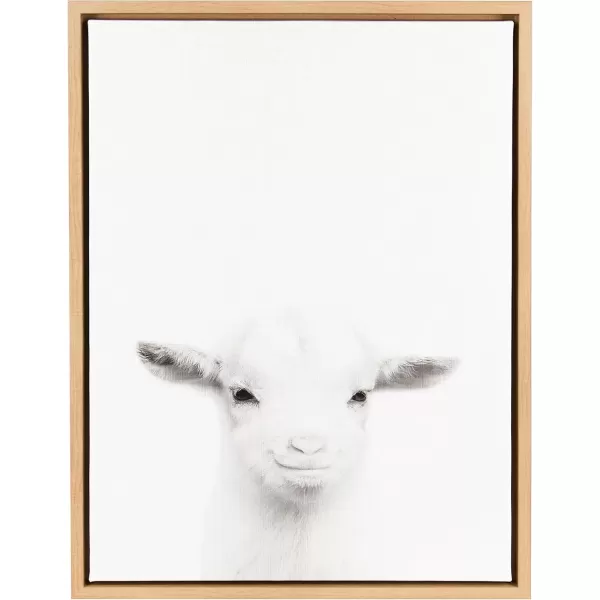 imageKate and Laurel Sylvie Baby Goat Black and White Portrait Framed Canvas Wall Art by Simon Te Tai 18x24 NaturalNatural