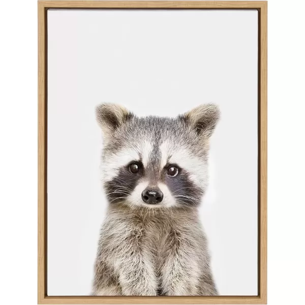 imageKate and Laurel Sylvie Baby Raccoon Animal Print Portrait Framed Canvas Wall Art by Amy Peterson 18x24 GrayNatural