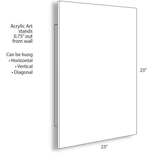 imageKate and Laurel Bell Agapanthus XRay Floral Black and White Acrylic Art by The Creative Bunch Studio 23x23 Decorative Modern Flower Print for Wall