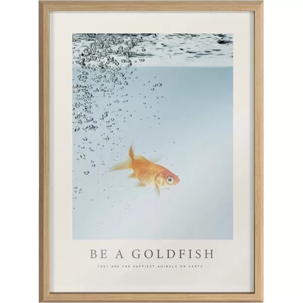 imageKate and Laurel Blake Be A Goldfish Framed Printed Glass Wall Art by The Creative Bunch Studio 18x24 Natural Decorative Animal Inspirational Art for Wall