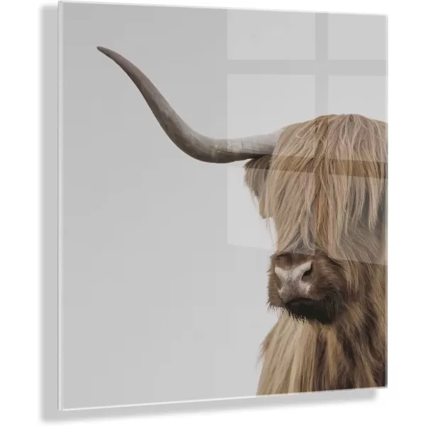 imageKate and Laurel Highland Cow Portrait Close Crop Floating Acrylic Art by The Creative Bunch Studio 23x23 Decorative Rustic Animal Art Print for Wall