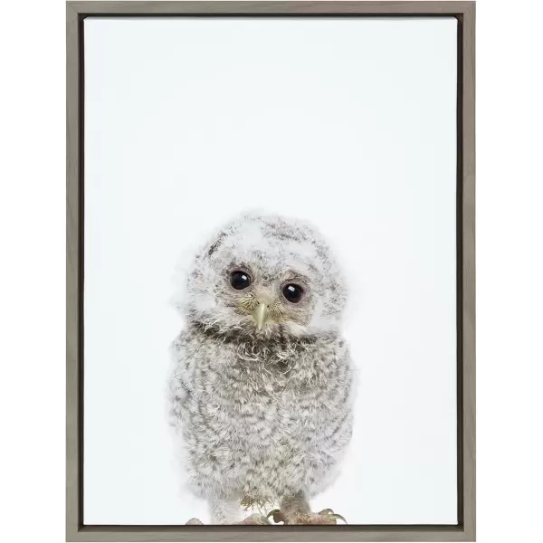 imageKate and Laurel Sylvie Animal Studio Owl Framed Canvas Wall Art by Amy Peterson Art Studio 18x24 Gray Modern Bird Animal Portrait Art for WallGray