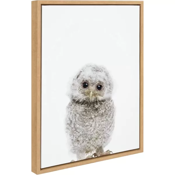 imageKate and Laurel Sylvie Animal Studio Owl Framed Canvas Wall Art by Amy Peterson Art Studio 18x24 Gray Modern Bird Animal Portrait Art for WallNatural