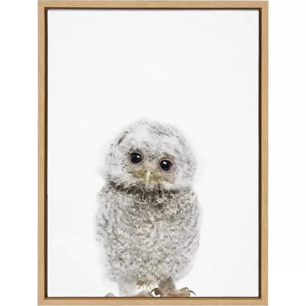 imageKate and Laurel Sylvie Animal Studio Owl Framed Canvas Wall Art by Amy Peterson Art Studio 18x24 Gray Modern Bird Animal Portrait Art for WallNatural