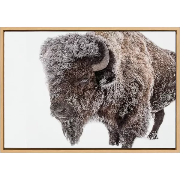 imageKate and Laurel Sylvie Bison in Snow Framed Canvas Wall Art by Amy Peterson Art Studio 23x33 Natural Modern Animal Portrait Art for WallNatural