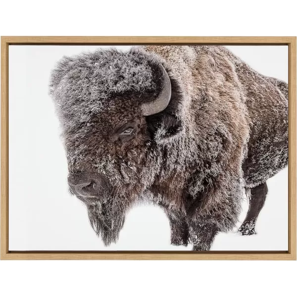 imageKate and Laurel Sylvie Bison in Snow Framed Canvas Wall Art by Amy Peterson Art Studio 23x33 Natural Modern Animal Portrait Art for WallNatural