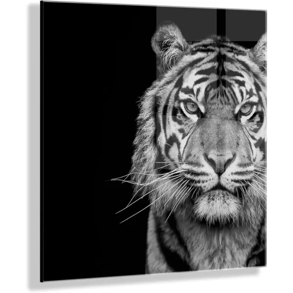 imageKate and Laurel Tiger Minimalist Animal Portrait Black and White Floating Acrylic Art by The Creative Bunch Studio 23x23 Decorative Animal Art for Wall