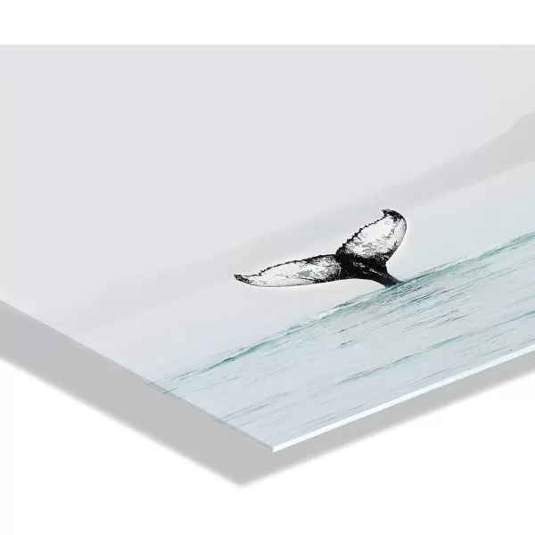 imageKate and Laurel x Amy Peterson Collaboration Whale Tail in the Mist Floating Acrylic Art 23x31 Decorative Coastal Whale Art for Wall