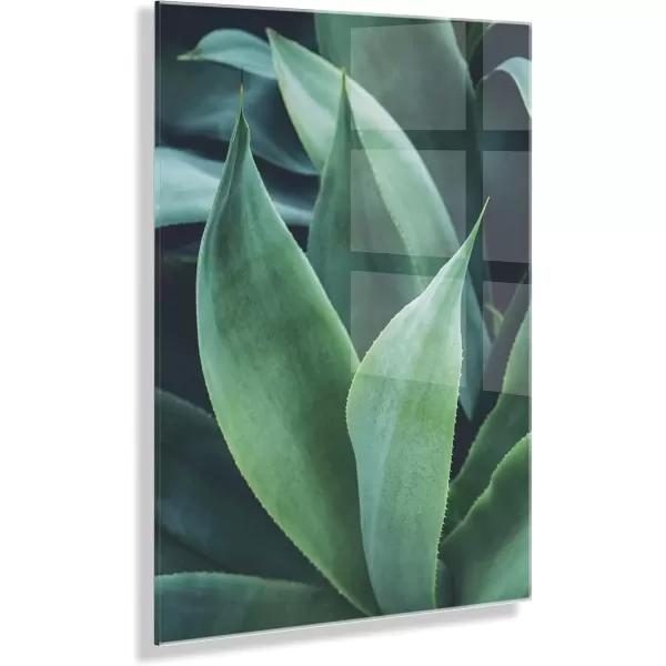 imageKate and Laurel x F2Images Collaboration Agave II Floating Acrylic Art 23x31 Decorative Botanical Succulent Art Print for Wall