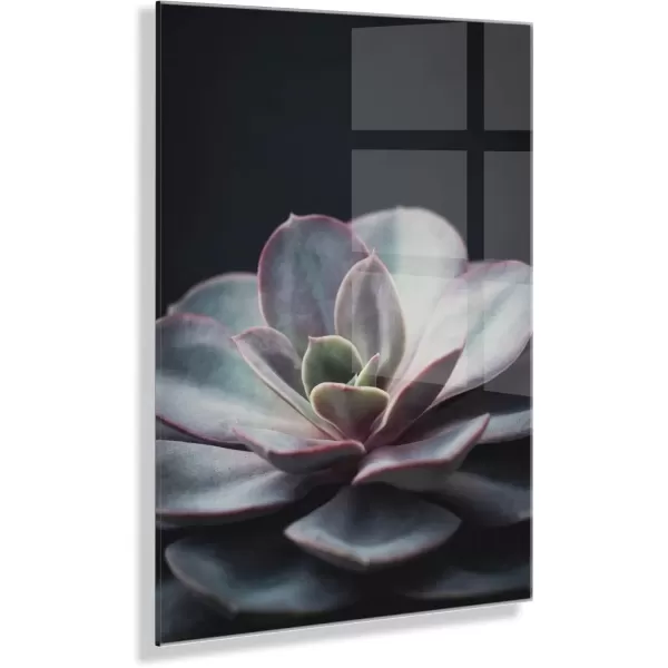 imageKate and Laurel x F2Images Collaboration Lavender Succulent Floating Acrylic Art 23x31 Decorative Succulent Decor