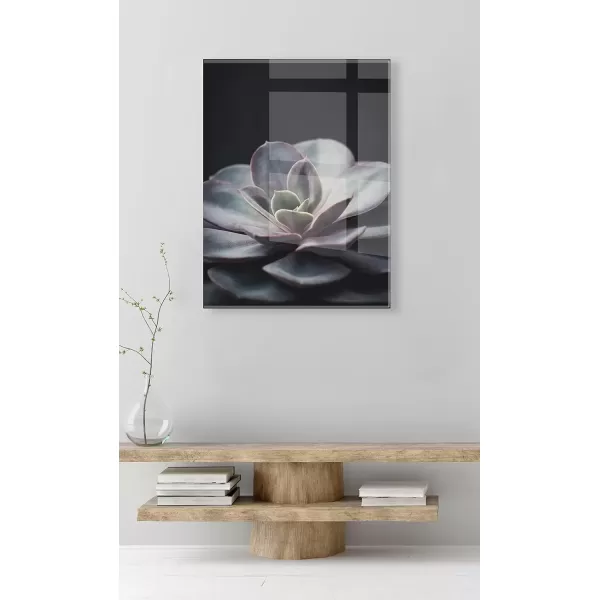 imageKate and Laurel x F2Images Collaboration Lavender Succulent Floating Acrylic Art 23x31 Decorative Succulent Decor