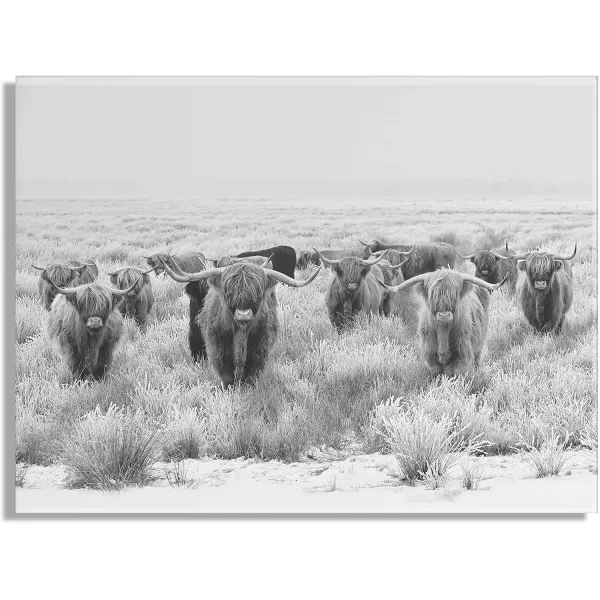 imageKate and Laurel x The Creative Bunch Studio Collaboration Titled Herd of Highland Cows Floating Acrylic Art 23x31 Decorative Black and White Animal Art for Wall