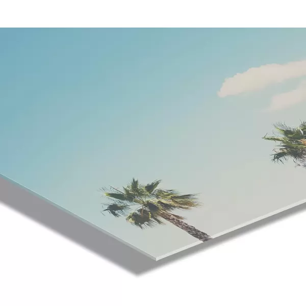 imageKate and Laurel A Trio Of Palm Trees Floating Acrylic Art by Laura Evans 23x23 Decorative Coastal Art for Wall