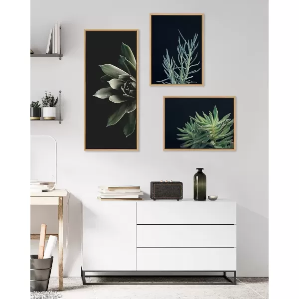 imageKate and Laurel Sylvie Salutation Framed Canvas Wall Art by Emiko and Mark Franzen of F2Images 18x40 Natural Dramatic Dark Botanical Plant Art for WallNatural