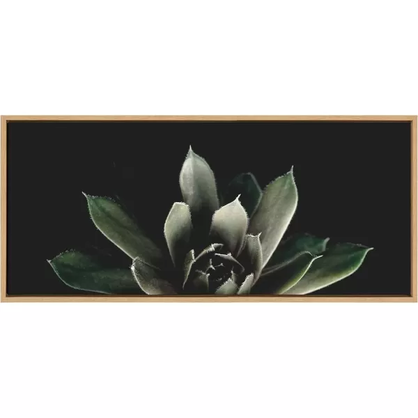 imageKate and Laurel Sylvie Salutation Framed Canvas Wall Art by Emiko and Mark Franzen of F2Images 18x40 Natural Dramatic Dark Botanical Plant Art for WallNatural