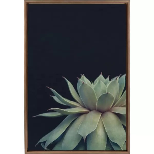 imageKate and Laurel Sylvie Succulent Plant Framed Canvas Wall Art Botanical Green with Black Background 23x33 GoldGold