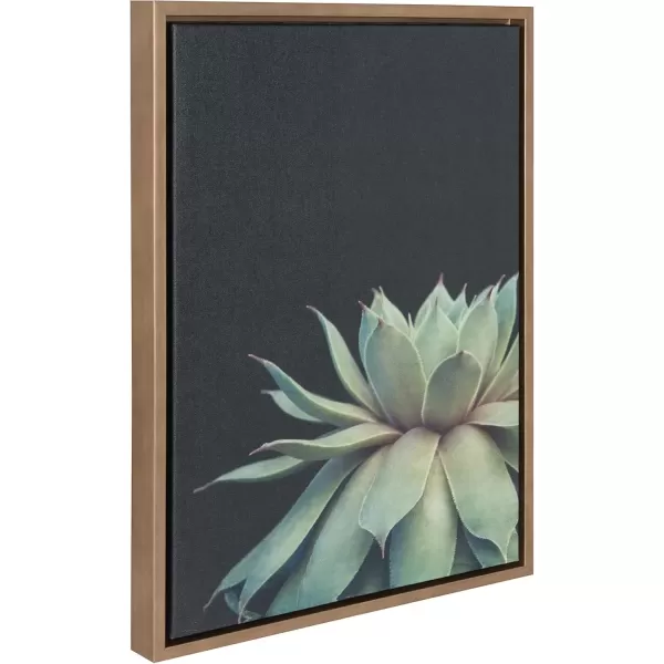 imageKate and Laurel Sylvie Succulent Plant Framed Canvas Wall Art Botanical Green with Black Background 23x33 GoldGold