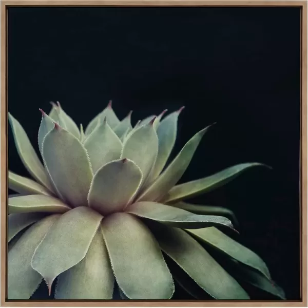 imageKate and Laurel Sylvie Succulent Plant Framed Canvas Wall Art Botanical Green with Black Background 23x33 GoldGold