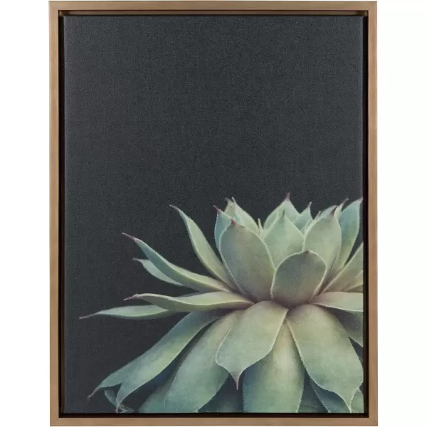 imageKate and Laurel Sylvie Succulent Plant Framed Canvas Wall Art Botanical Green with Black Background 23x33 GoldGold