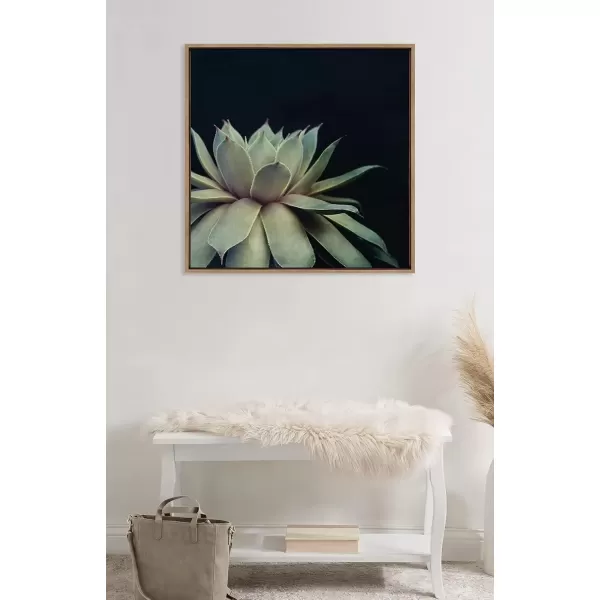 imageKate and Laurel Sylvie Succulent Plant Framed Canvas Wall Art Botanical Green with Black Background 23x33 GoldGold