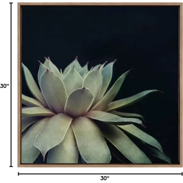 imageKate and Laurel Sylvie Succulent Plant Framed Canvas Wall Art Botanical Green with Black Background 23x33 GoldGold