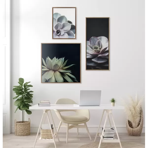 imageKate and Laurel Sylvie Succulent Plant Framed Canvas Wall Art Botanical Green with Black Background 23x33 GoldGold