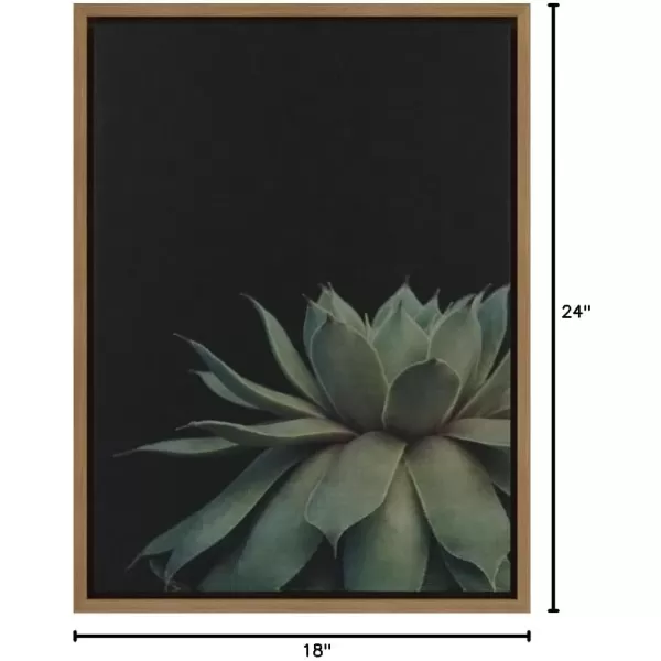 imageKate and Laurel Sylvie Succulent Plant Framed Canvas Wall Art Botanical Green with Black Background 23x33 GoldGold